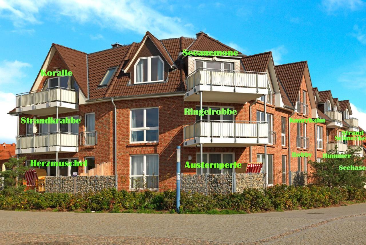 Haus Suedwester Hummer Insel Poel Exterior photo